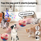 🔥Hot Sale 50% OFF - Active Moving Pet Plush Toy🎁