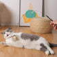 🐱 Keep Your Cat Happy & Active All Day 🐦✨