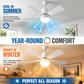 ❄️2-in-1 Portable Ceiling Fan & Light With Remote Control