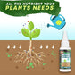 🔥Plant Nutrient Solution