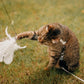 🐱 Keep Your Cat Happy & Active All Day 🐦✨