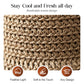 👒Elegant Woven Straw Sun Hat with Bow 🌞