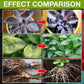 🔥Plant Nutrient Solution