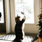 🐱 Keep Your Cat Happy & Active All Day 🐦✨