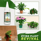 🔥Plant Nutrient Solution