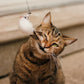 🐱 Keep Your Cat Happy & Active All Day 🐦✨