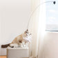 🐱 Keep Your Cat Happy & Active All Day 🐦✨