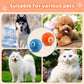 🥎Interactive Pet Toy Automatic Rolling Ball