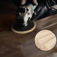 Wool felt flap disc polishing disc