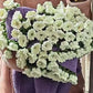 💖🎁2026 Mother's Day Gifts 49% Off--🌸🎁Hand-Knitted Flower Bouquet Blanket