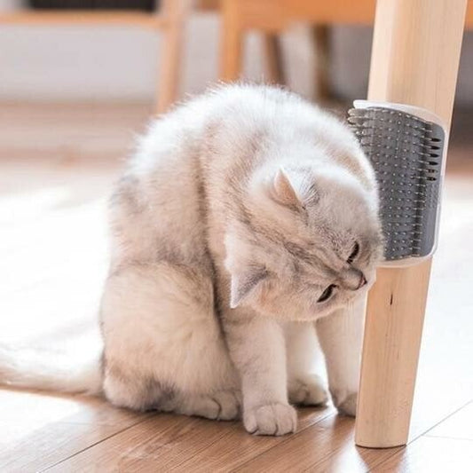 🐱💗 Cat Self-Grooming Corner Brush – Massage, Rub & Collect Loose Fur