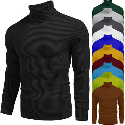 🔥Black Friday Mega Sale🔥Winter Men's Knitted Turtleneck Slim Sweater