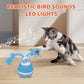 🏆 Hot Sale -49% OFF ✨Interactive Rolling Cat Ball with Bird Sounds