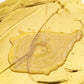 ⏳Time-Limited Special⏰Weather resistant water-based gold paint