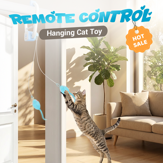 Interactive Remote Control Hanging Cat Toy