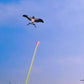 🎣 49% OFF NOW! 🪁 Fishing Rod Kites – Easy to Control, Boosts Coordination & Fun Outdoor Play 👦