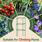 Adjustable Modular Plant Support Cage 🔥✨Excellent Planting Tools