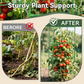 Adjustable Modular Plant Support Cage 🔥✨Excellent Planting Tools