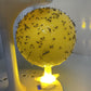 ⏰🎁Sticky Fruit Fly Trap Ball with Stand & LED