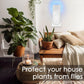🎁LAST DAY SALE 49% OFF🔥Plug-in Fly Insect Trap