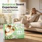 🔥Buy 1 Get 1 Free🔥Multi-Effect Floor Cleaner Tablets