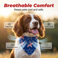 Holiday Dog Bandana Stars Stripes