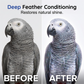 🦜🧼 7-in-1 dry cleaning foam for parrots – no-rinse, odor-free, soft feathers!