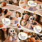 🔥LAST DAY 50% OFF🧵Little Ghost's Cozy Halloween DIY Patchwork Kit