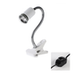 Reptile Heat Lamp for Turtles