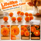 👻Halloween Special Offer🎃🧡Artificial Marigold Flower LED String Light