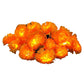 👻Halloween Special Offer🎃🧡Artificial Marigold Flower LED String Light