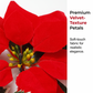 🎄 Christmas Poinsettia Flower String Lights – 2M Warm LED Garland with Red Flowers & Holly Leaves