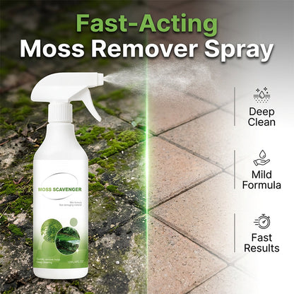 🔥 Last Day 50% OFF!!✨Outdoor Moss & Algae Remover Spray