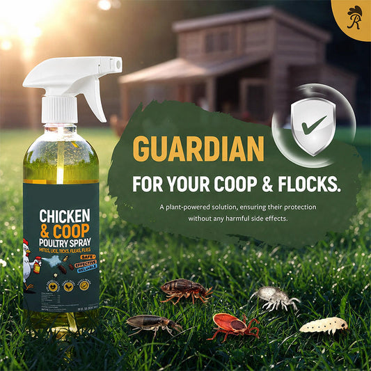 🔥🎁 Buy 2, Get 1 Free!! 🥳 💞 Over 50,000 Sold! ⚡🐔 Natural cleaning spray for chicken coops – neutralizes odors & reduces germs