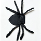 🕷️🎃 Halloween Pet Spider Costume – Scary Plush Spider Outfit with Poseable Legs for Dogs & Cats
