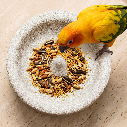🐦 Buy 2, get 1 free! ✨2-in-1 bird feeder and beak file made of volcanic stone – practical and durable 🌋