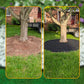 🌿 50% OFF NOW! 🏡 No-Dig Landscape Edging – Clean, Clear Lawn Borders for Garden, Flower Beds & Pathways 🛡️