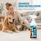 🐾 Pet Stain & Odor Remover Spray – Enzyme Cleaner for Urine, Feces, Rugs & Upholstery