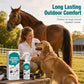 🐾🌿 Natural Pet Flea, Tick & Insect Repellent Spray – Gentle Outdoor Protection for Pets