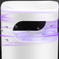 🦟 UV Fly Trap | Quiet USB Catch Box