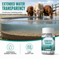 🐄💧 Livestock Water Treatment Tablets – Easy-Dissolving Trough & Tank Care