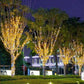 ☀️✨ Solar Decorative String Lights – 100 LEDs & 8 Lighting Modes