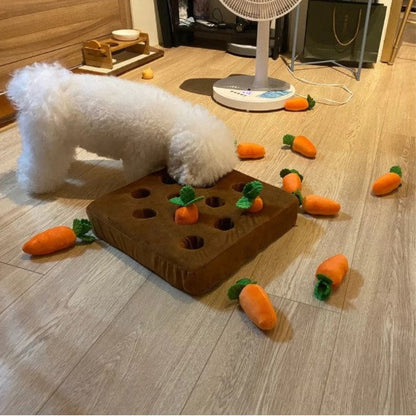 Carrot Plush Toy for Dogs – Interactive Pull-Out Toy | Carrot Patch Mat